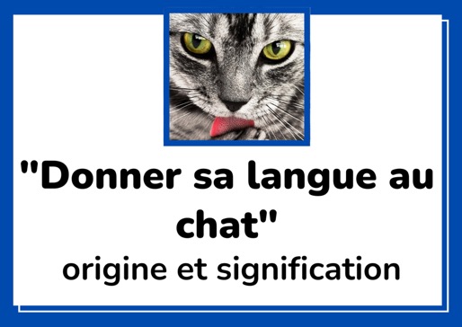 donner sa langue au chat meaning